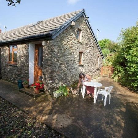 Inviting 2-Bed Cottage In Newcastle Emlyn Bagian luar foto