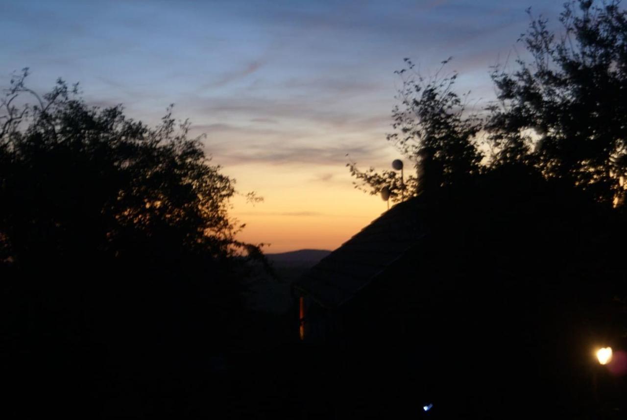 Inviting 2-Bed Cottage In Newcastle Emlyn Bagian luar foto