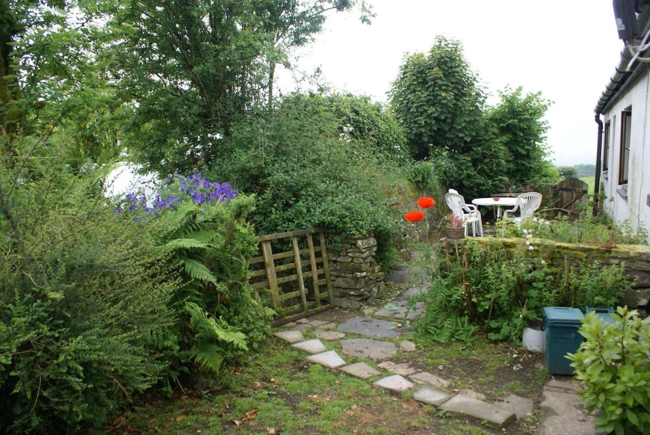 Inviting 2-Bed Cottage In Newcastle Emlyn Bagian luar foto