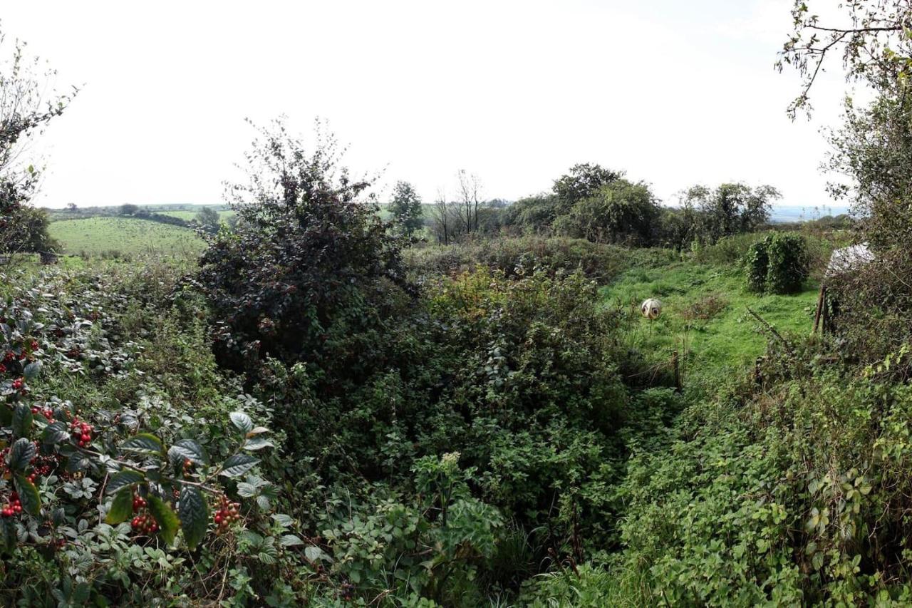 Inviting 2-Bed Cottage In Newcastle Emlyn Bagian luar foto