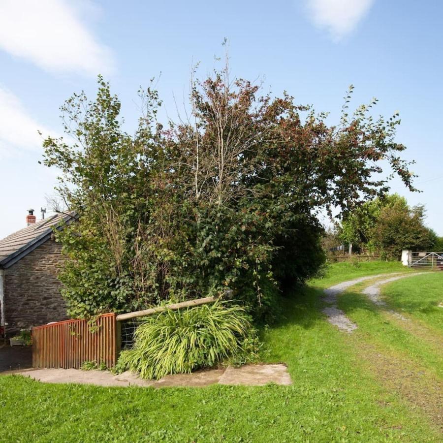 Inviting 2-Bed Cottage In Newcastle Emlyn Bagian luar foto