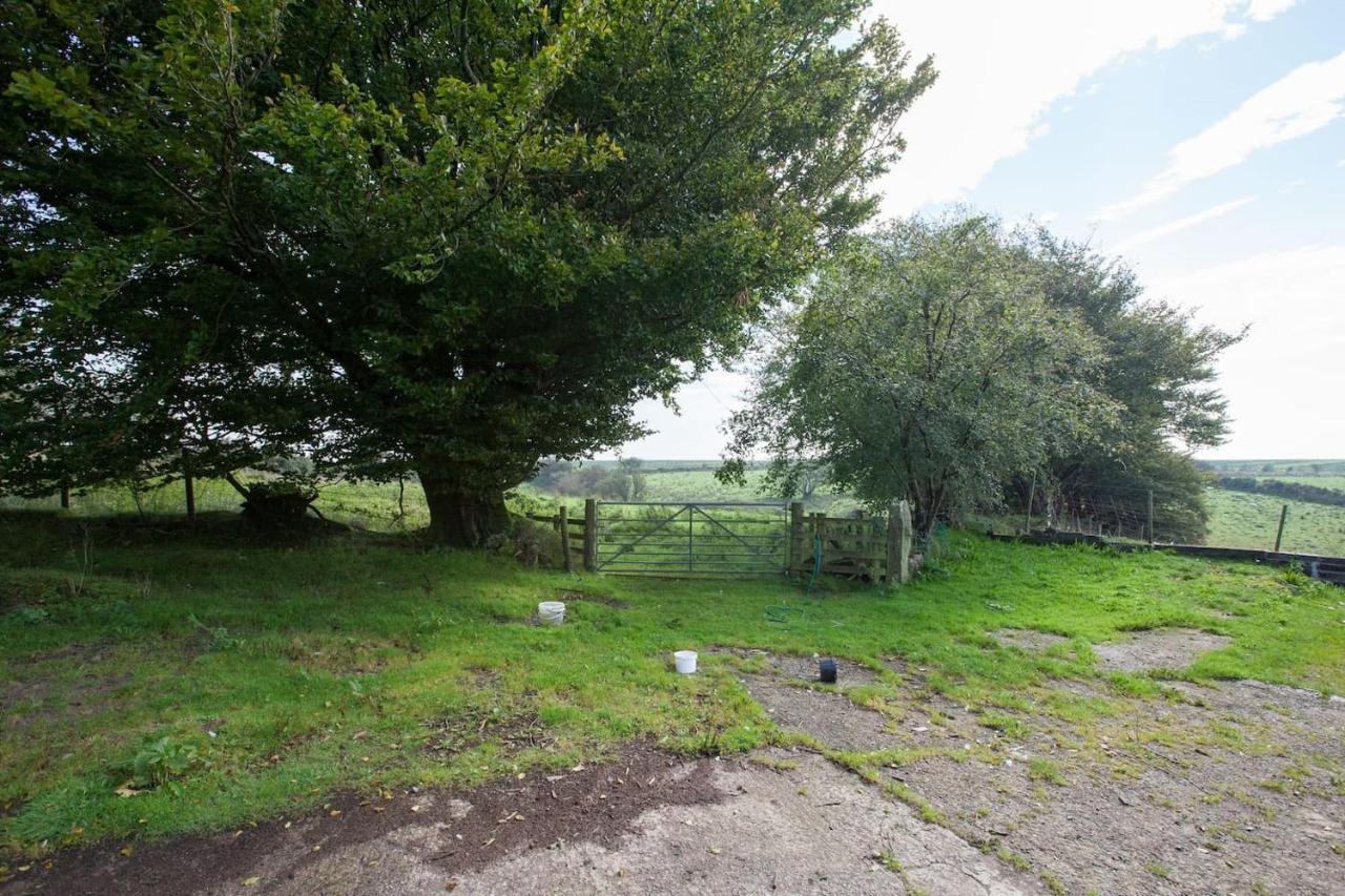 Inviting 2-Bed Cottage In Newcastle Emlyn Bagian luar foto